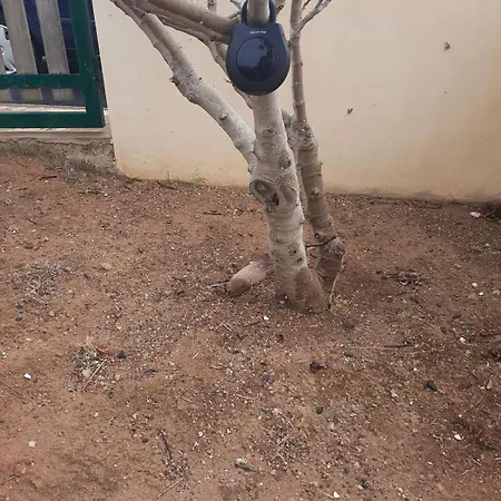 Heritage * Porto Santo